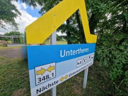 Mainschwimmen Juni 2026